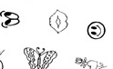 REEL TRANSFER SHEET - Childrens