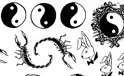 REEL TRANSFER SHEET - D.J. 25